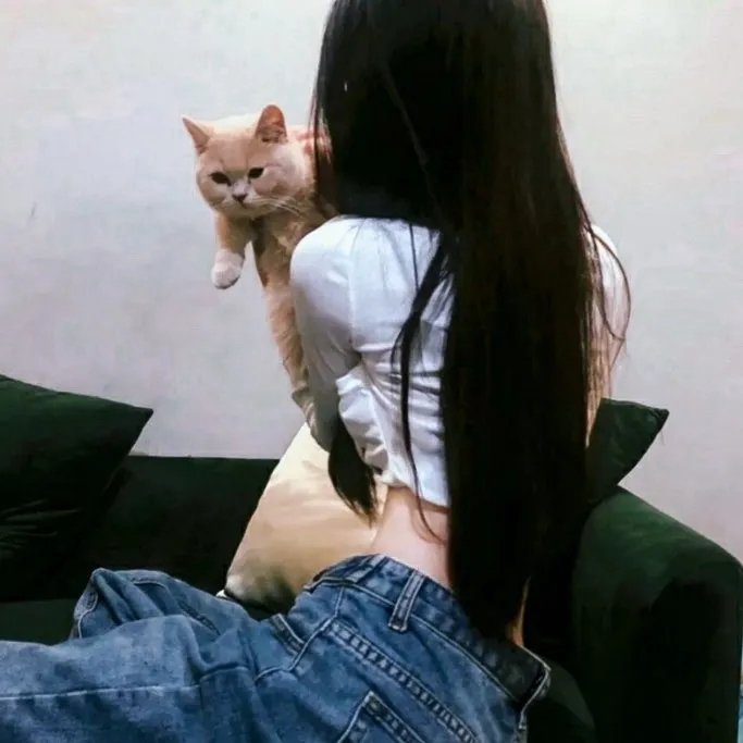 蝙蝠侠与罗宾